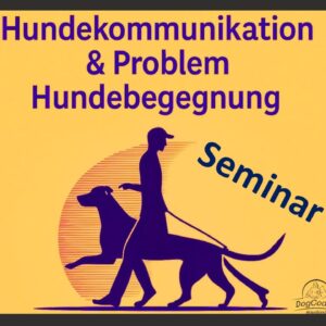 Seminar Kommunikation
